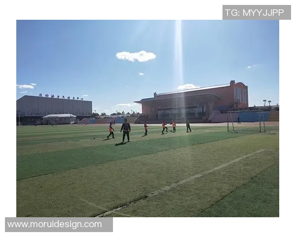 从街头到绿茵场 足球天才们的成长之路与奋斗历程